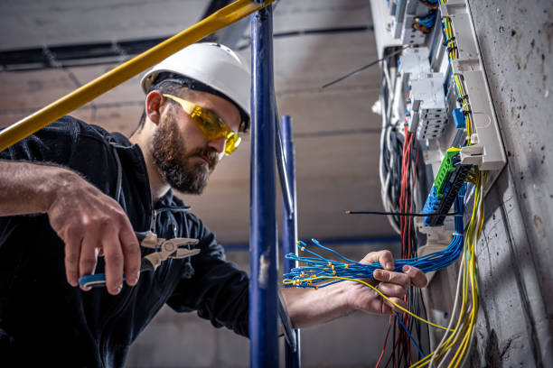 Best Home Electrical Repair  in Lan, MI