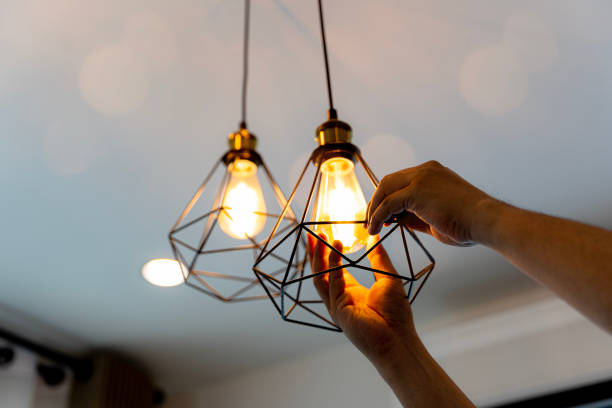 Best Ceiling Fan Installation Electrician  in Lan, MI