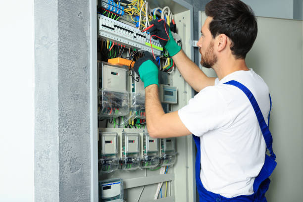 Best Electric Panel Repair  in Lan, MI