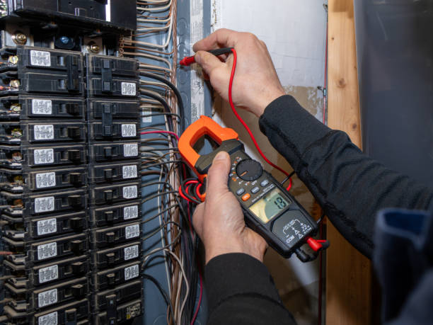 Best Electrical Rewiring Services  in Lan, MI