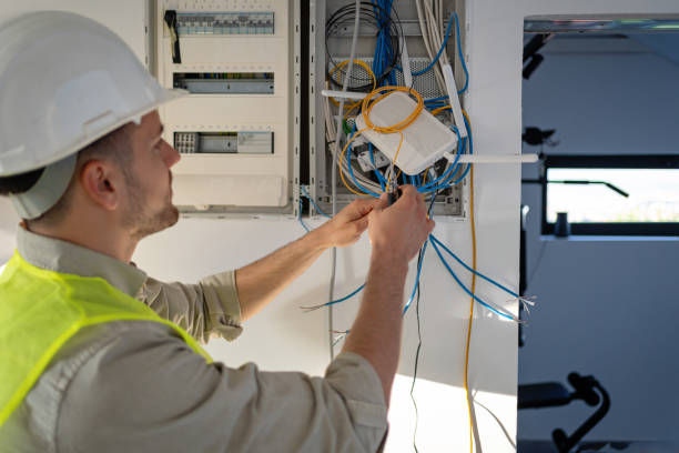 Best Electrical Troubleshooting Services  in Lan, MI